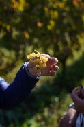 Visite aziendali: Dove nascono i sapori