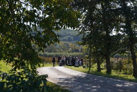 Visite aziendali: Dove nascono i sapori